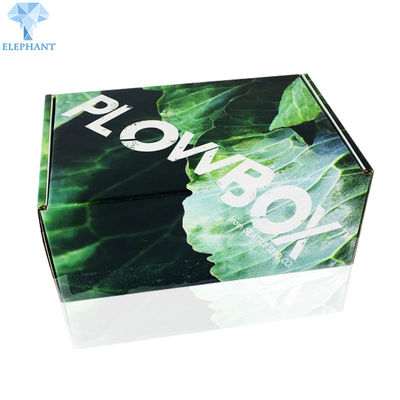 Le paquet plat de impression fait sur commande de coupe amicale de matrice d'Eco a ridé le melon de cartons d'expédition de carton de pliage